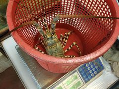 -ZF Seafood Restaurant 卓峰海鲜餐