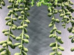 -钱塘花园·宁波菜