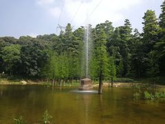 -广州市帽峰山景区