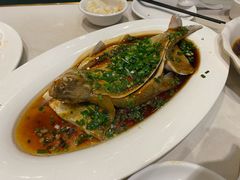 葱香武昌鱼-刘胖子家常菜·蹄花焖藕(江汉路总店)