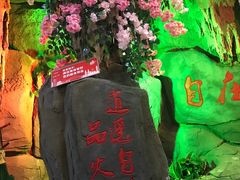 -枇杷园食为鲜火锅(南山店)