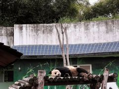-南昌动物园