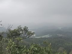 -深圳仙湖植物园