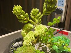 -百富源·海鲜辽菜(浑河堡店)