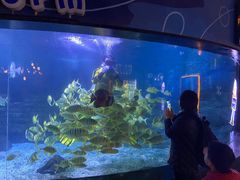 -烟台海昌鲸鲨海洋公园