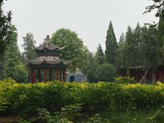 -洛阳白马寺