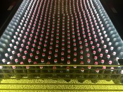 -厨邦酱油文化博览馆