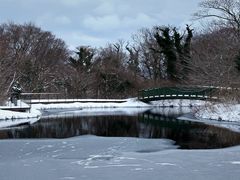 -济州森林小火车生态公园