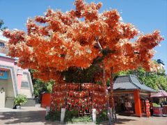 -芜湖方特东方神画