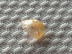 android_upload_pic-东方豪景花园酒店·怡景旋转餐厅