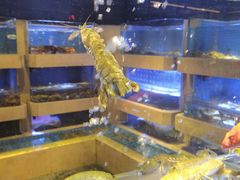 水产区-新荣记(建国门外大街店)
