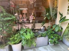 -蝶舍·MAISON PAPILLON