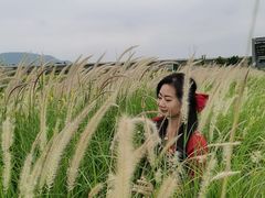 -光明小镇欢乐田园