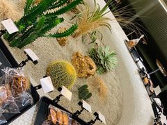 -OUR Bakery(SKP-S店)