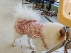 -怪兽屋·羊驼·猫咖·狗咖(俊华广场店)