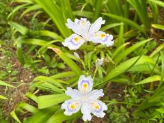 -昆山城市生态森林公园