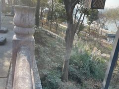 -东梓关景区村庄