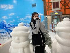 -世界之窗阿尔卑斯冰雪世界