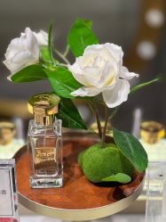 -香遇沙龙香水·调香·团建