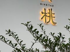 -青桃餐厅