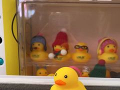 -LINLEE林里·手打柠檬茶(黄浦茂名南路店)