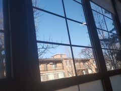 -天正河鲀·河豚亭(大连店)