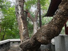 -千佛山风景名胜区