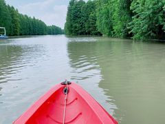 -上海海湾国家森林公园