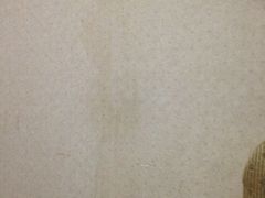 iphone_upload_pic-金牛山大酒店(南北湖风景区店)