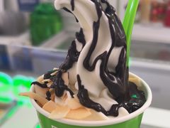 -Salud撒露欧洲冻酸奶(五道口购物中心店)