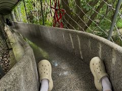 -连云港云龙涧原生态风景区