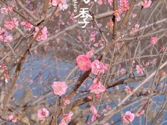 -重庆彩云湖湿地公园
