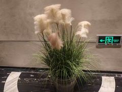 -上和臻品中国菜(花园街店)