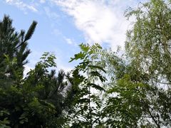 -日照海滨国家森林公园