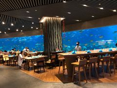 大堂-海棠湾洲际-涛·海底餐厅·美人鱼·自助餐·海底隧道