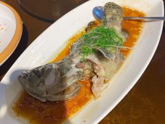 -达叔香味海鲜(海棠68环球美食街店)