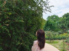 -东湖落雁景区