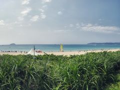 -三亚亚龙湾天域度假酒店