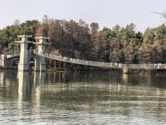 -东湖落雁景区