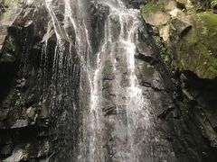 -藏龙百瀑风景区