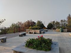 -东莞市大岭山森林公园
