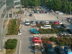 -首都医科大学附属北京地坛医院