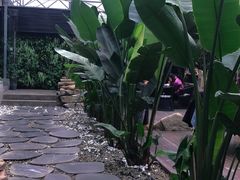 -桉树林A coffee 森林餐厅(三圣乡店)