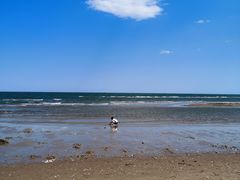 -北戴河圣蓝海洋公园