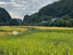 -高荡千年布依古寨旅游景区