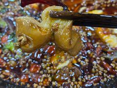 -烧哥美蛙肥肠鱼火锅·十五年社区店