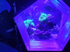 -海合安成都极地海洋公园