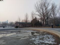 -莲花池公园