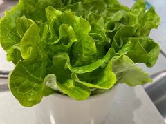 -古乐牛香·鲜牛肉牛杂火锅(千灯店)