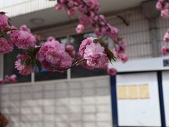 -西安交通大学(雁塔校区)